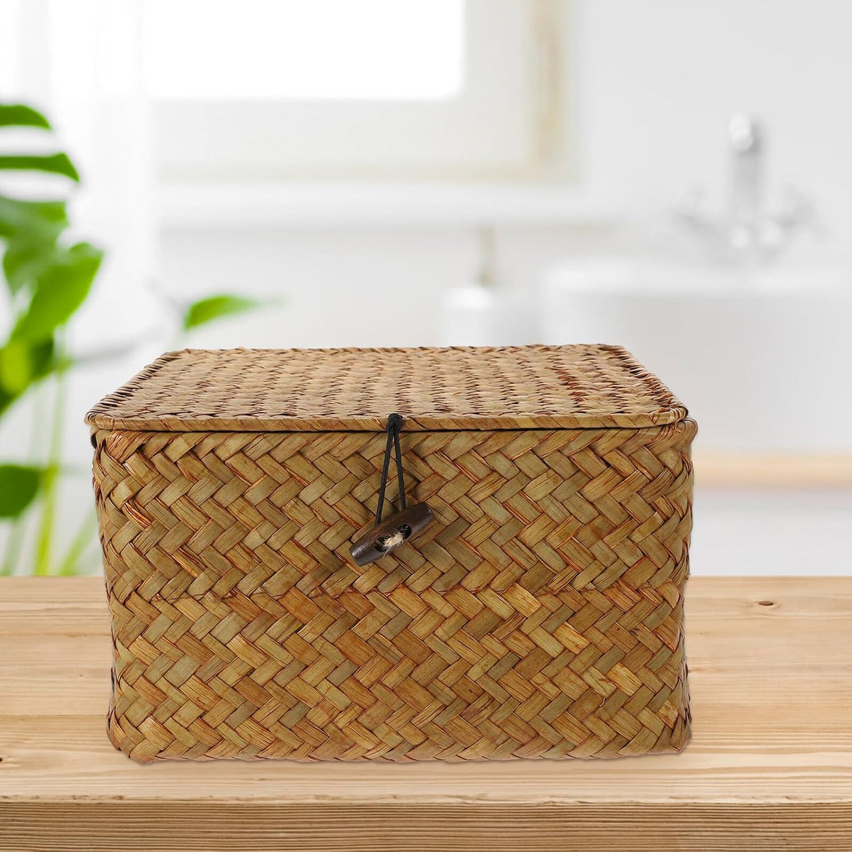 2Pcs Lidded Desktop Storage Boxes