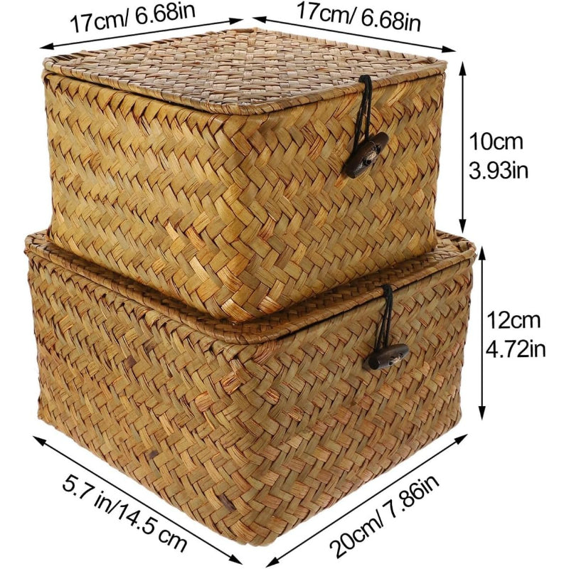 2Pcs Lidded Desktop Storage Boxes