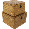 2Pcs Lidded Desktop Storage Boxes