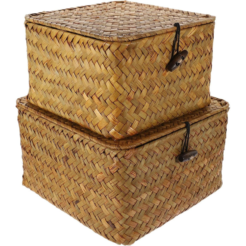 2Pcs Lidded Desktop Storage Boxes